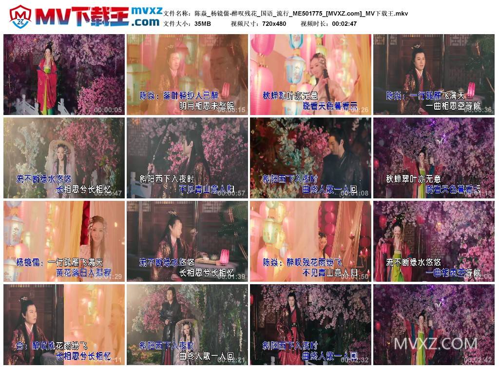 陈焱_杨镜儒-醉叹残花_国语_流行_ME501775